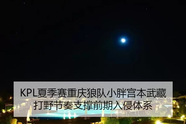 KPL夏季赛重庆狼队小胖宫本武藏打野节奏支撑前期入侵体系